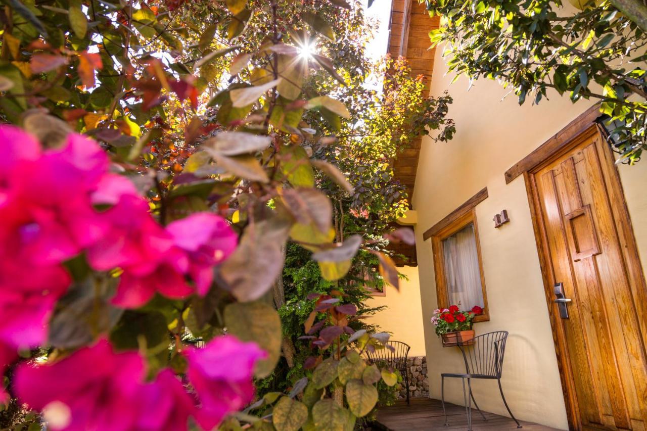 Cabanas Sierra Мазамитла Экстерьер фото